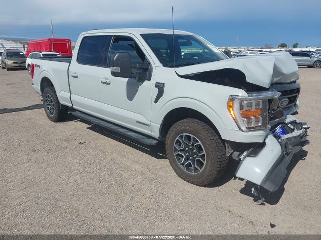 45666750 :رقم المزاد ، 1FTFW1ED1PFD04620 vin ، 2023 Ford F-150 Xlt مزاد بيع