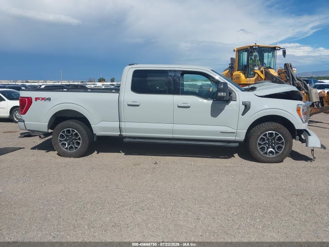 45666750 :رقم المزاد ، 1FTFW1ED1PFD04620 vin ، 2023 Ford F-150 Xlt مزاد بيع