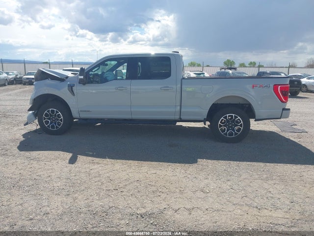 45666750 :رقم المزاد ، 1FTFW1ED1PFD04620 vin ، 2023 Ford F-150 Xlt مزاد بيع
