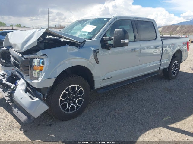 45666750 :رقم المزاد ، 1FTFW1ED1PFD04620 vin ، 2023 Ford F-150 Xlt مزاد بيع