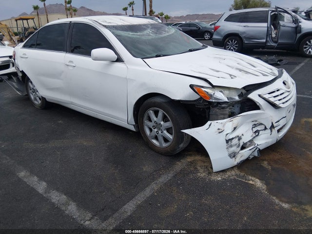 Auction sale of the 2009 Toyota Camry Le, vin: 4T4BE46K49R128145, lot number: 45666897