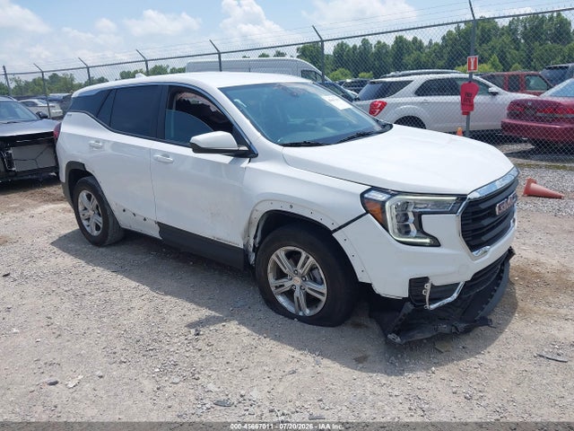 Продажа на аукционе авто 2024 Gmc Terrain Fwd Sle, vin: 3GKALMEG1RL283263, номер лота: 45667011