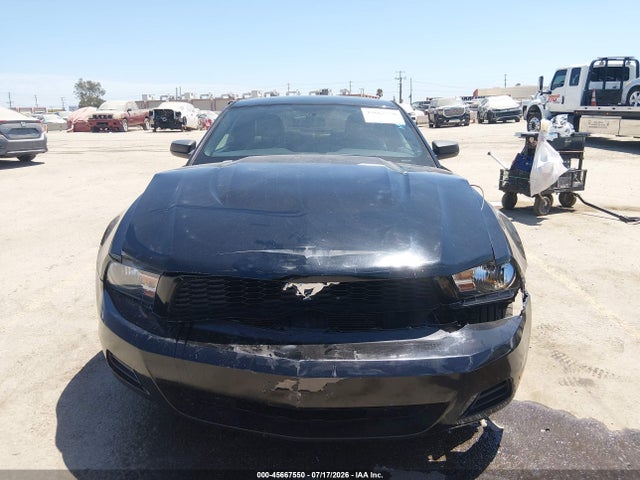 Продаж на аукціоні авто 2010 Ford Mustang V6/v6 Premium, vin: 1ZVBP8AN8A5146595, номер лоту: 45667550
