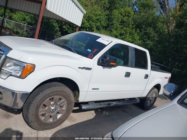 2011 Ford F-150 Xlt მანქანა იყიდება აუქციონზე, vin: 1FTFW1ET3BFB98106, აუქციონის ნომერი: 45667988