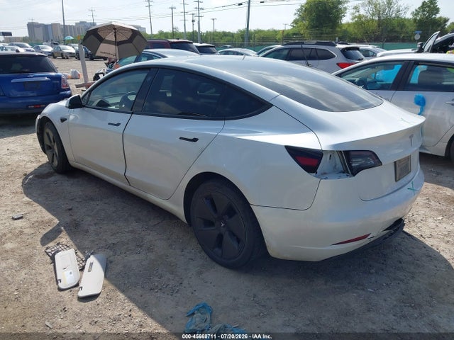 Tesla Model 3 Rear-wheel Drive 2023 5YJ3E1EA3PF569815 Image 3