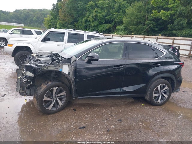 2020 Lexus Nx 300 მანქანა იყიდება აუქციონზე, vin: JTJGARDZ2L5003673, აუქციონის ნომერი: 45670125