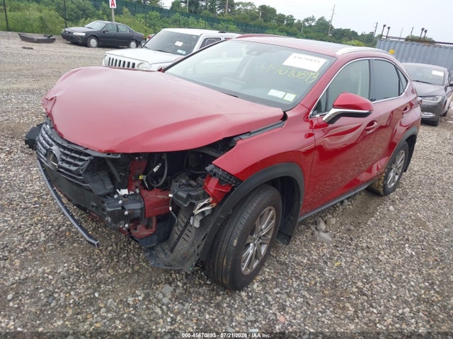 Продаж на аукціоні авто 2021 Lexus Nx 300, vin: JTJDARDZ3M5031888, номер лоту: 45670893