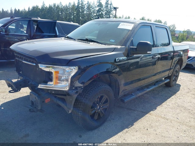 1FTEW1E59KKD06667 Ford F-150 Xlt