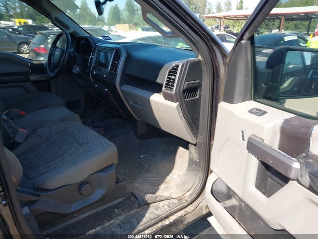 1FTEW1E59KKD06667 Ford F-150 Xlt