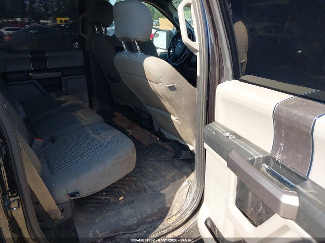1FTEW1E59KKD06667 Ford F-150 Xlt