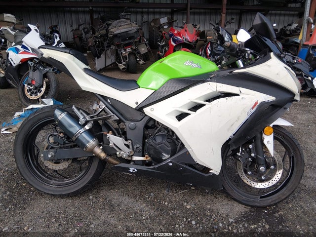 Kawasaki Ex300 A 2015 JKAEX8A16FDA21439 Image 12