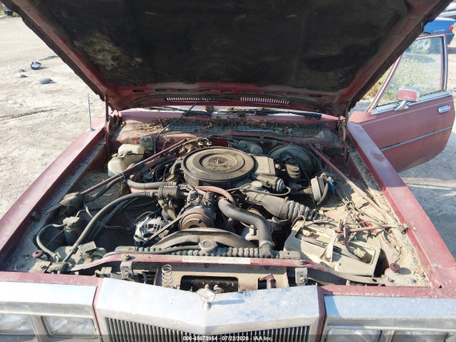 1983 Chrysler New Yorker Fifth Avenue მანქანა იყიდება აუქციონზე, vin: 2C3BF66P7DR245201, აუქციონის ნომერი: 45673954