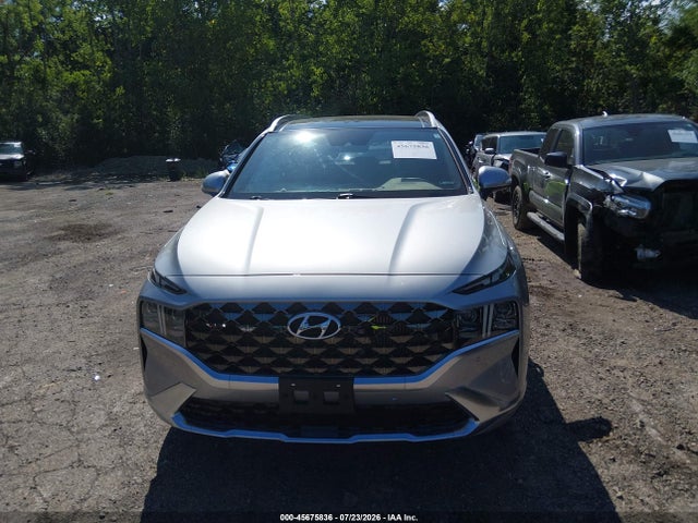 2023 Hyundai Santa Fe Calligraphy მანქანა იყიდება აუქციონზე, vin: 5NMS5DAL5PH573836, აუქციონის ნომერი: 45675836