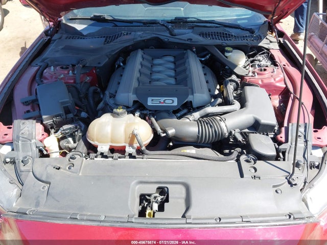 1FA6P8CF6G5206530 Ford Mustang Gt Premium