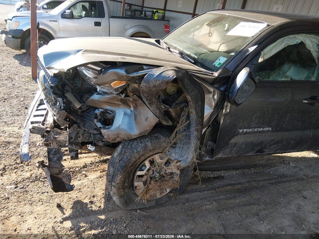 5TFCZ5AN4KX204899 Toyota Tacoma Trd Off Road