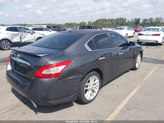 Продаж на аукціоні авто 2010 Nissan Maxima 3.5 Sv, vin: 1N4AA5AP1AC840269, номер лоту: 45679925