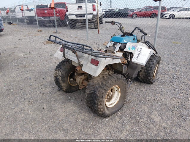 Aukcja sprzedaży 1994 Kawasaki Klf220, vin: JKBLFBA11RB566710, numer aukcji: 45681540