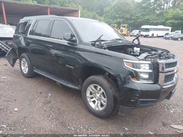 45681850 :رقم المزاد ، 1GNSKAKC3KR281488 vin ، 2019 Chevrolet Tahoe Ls مزاد بيع
