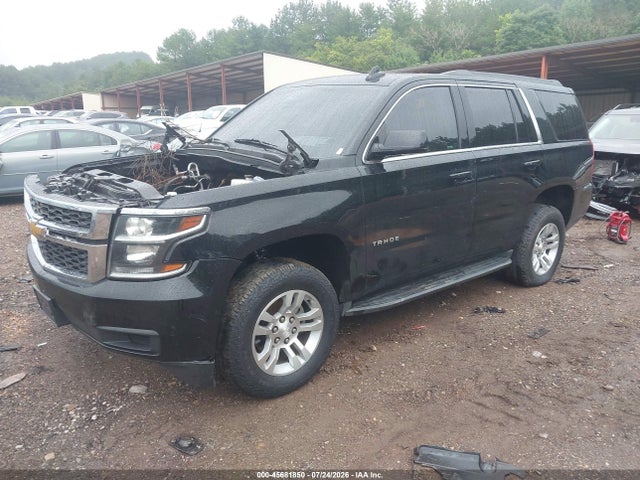 45681850 :رقم المزاد ، 1GNSKAKC3KR281488 vin ، 2019 Chevrolet Tahoe Ls مزاد بيع