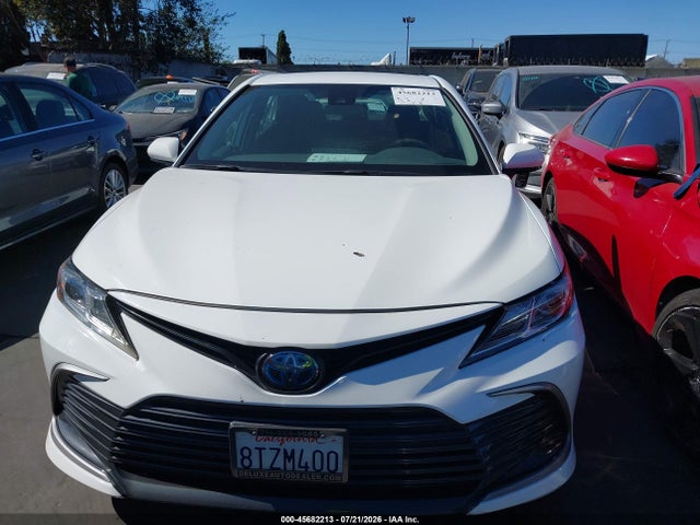 4T1C31AK7MU550445 Toyota Camry Le Hybrid