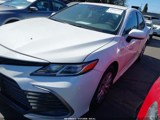 4T1C31AK7MU550445 Toyota Camry Le Hybrid