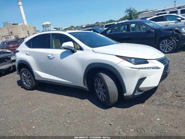 Auction sale of the 2020 Lexus Nx 300h, vin: JTJDJRDZ8L5000618, lot number: 45682731