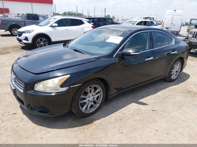 Продажа на аукционе авто 2010 Nissan Maxima 3.5 Sv, vin: 1N4AA5AP8AC806670, номер лота: 45683387