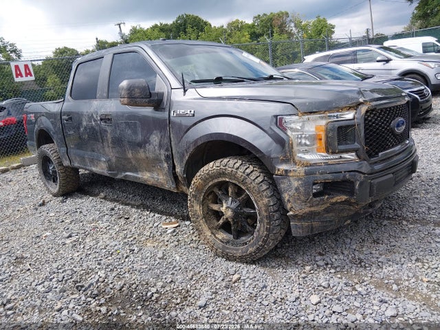 Продажа на аукционе авто 2019 Ford F-150 Xl, vin: 1FTEW1E52KFB26746, номер лота: 45683640