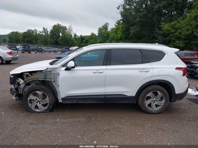 2023 Hyundai Santa Fe Sel მანქანა იყიდება აუქციონზე, vin: 5NMS24AJ2PH569976, აუქციონის ნომერი: 45683692