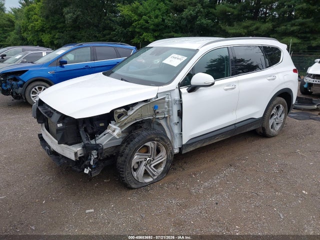 2023 Hyundai Santa Fe Sel მანქანა იყიდება აუქციონზე, vin: 5NMS24AJ2PH569976, აუქციონის ნომერი: 45683692