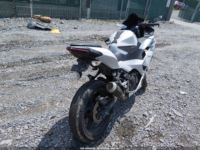 Kawasaki EX500 2024 ML5EXGG19RDA08058 Image 4
