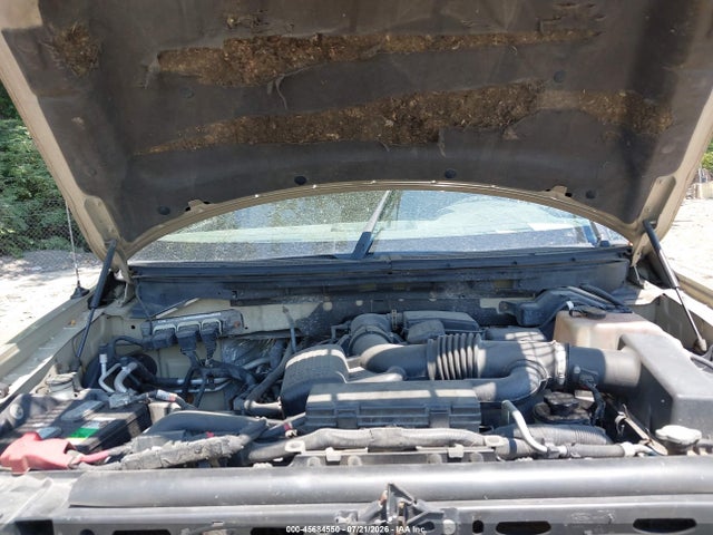45684550 :رقم المزاد ، 1FTFW1EV0AFA21352 vin ، 2010 Ford F-150 Fx4/harley-davidson/king Ranch/lariat/platinum/xl/xlt مزاد بيع