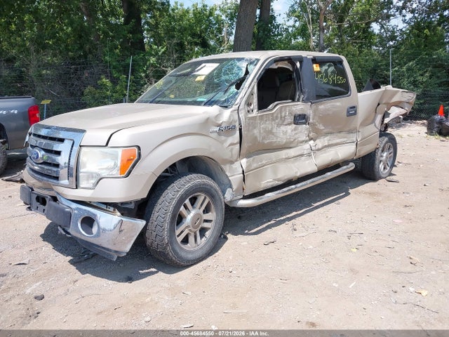 45684550 :رقم المزاد ، 1FTFW1EV0AFA21352 vin ، 2010 Ford F-150 Fx4/harley-davidson/king Ranch/lariat/platinum/xl/xlt مزاد بيع