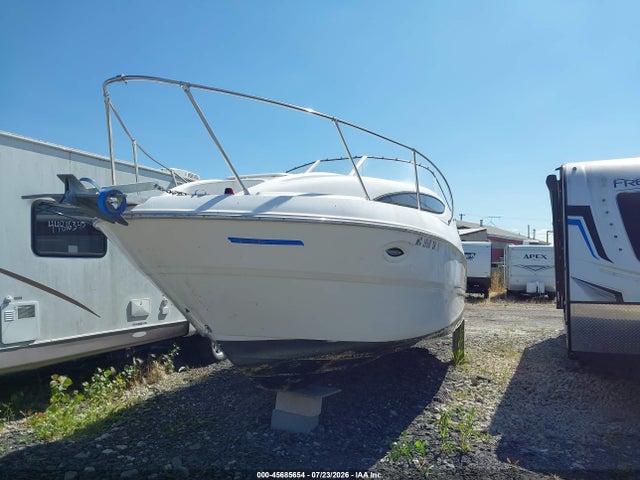 45685654 :رقم المزاد ، BLNA11SDF102 vin ، 2002 Bayliner Other مزاد بيع