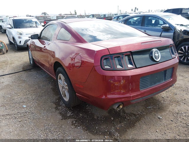 1ZVBP8AM3E5327794 Ford Mustang V6