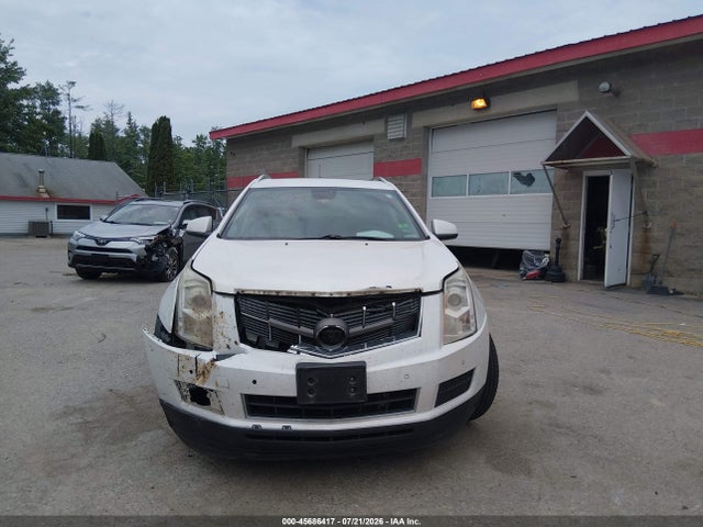 45686417 :رقم المزاد ، 3GYFNDEY4BS556738 vin ، 2011 Cadillac Srx Luxury Collection مزاد بيع