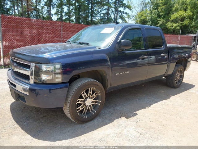 Продаж на аукціоні авто 2010 Chevrolet Silverado 1500 Lt, vin: 3GCRCSE08AG265135, номер лоту: 45689410