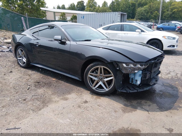 Продажа на аукционе авто 2024 Ford Mustang Ecoboost Fastback, vin: 1FA6P8TH4R5111386, номер лота: 45689645