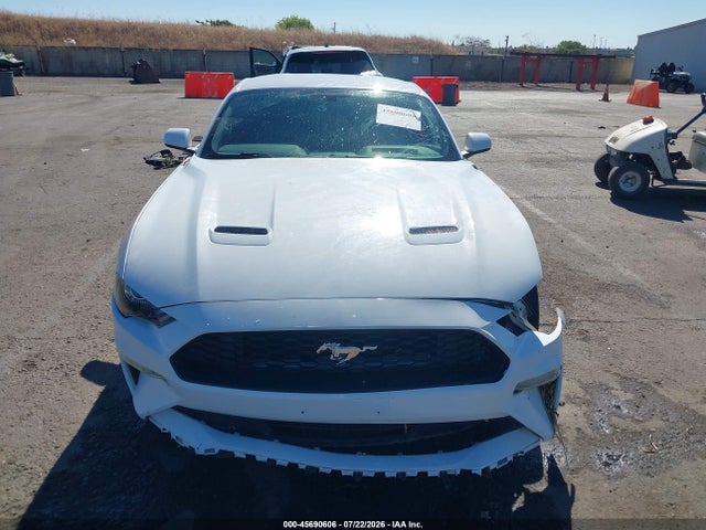 Ford Mustang Ecoboost 2019 1FA6P8TH8K5169295 Image 12