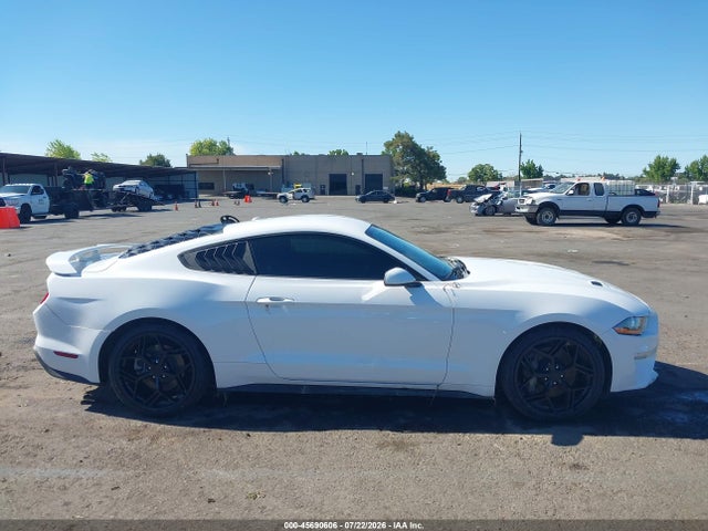 Ford Mustang Ecoboost 2019 1FA6P8TH8K5169295 Image 13
