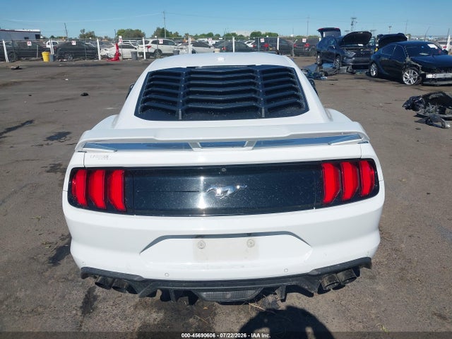 Ford Mustang Ecoboost 2019 1FA6P8TH8K5169295 Image 16