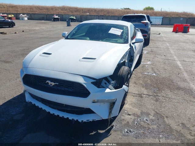 Ford Mustang Ecoboost 2019 1FA6P8TH8K5169295 Image 2