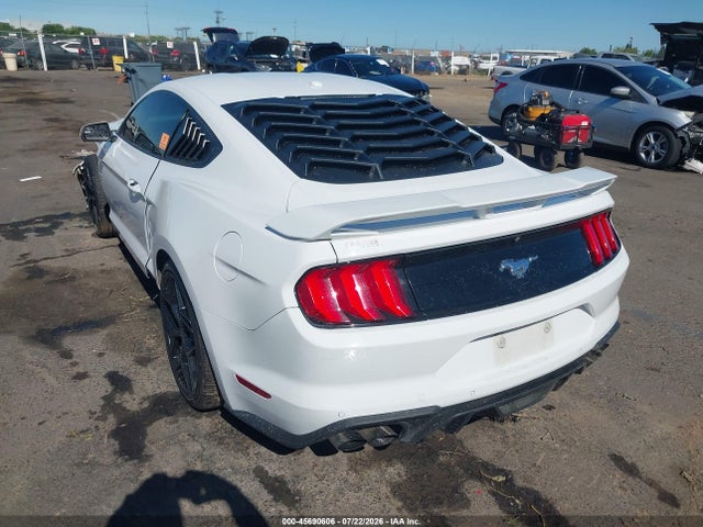 Ford Mustang Ecoboost 2019 1FA6P8TH8K5169295 Image 3