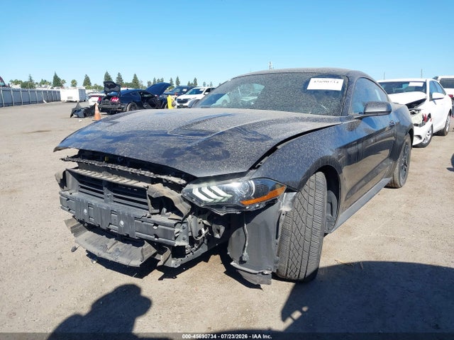 Ford Mustang Ecoboost 2019 1FA6P8TH7K5194916 Image 2