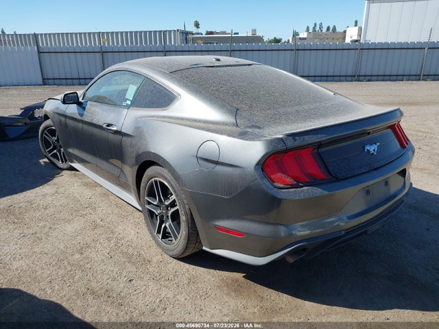 Ford Mustang Ecoboost 2019 1FA6P8TH7K5194916 Image 3