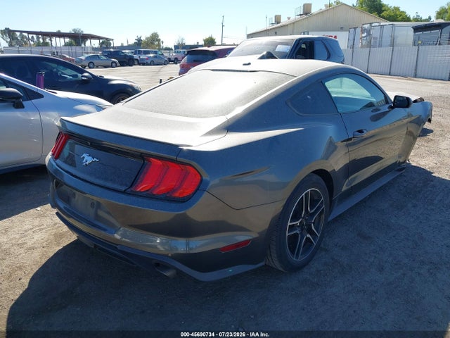 Ford Mustang Ecoboost 2019 1FA6P8TH7K5194916 Image 4