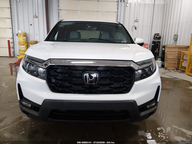 5FNYF8H56PB019714 Honda Passport Awd Ex-l