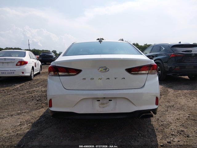 Auction sale of the 2019 Hyundai Sonata Sel, vin: 5NPE34AF1KH817491, lot number: 45692939