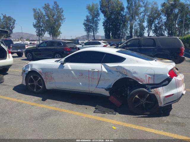 Ford Mustang Ecoboost Fastback 2023 1FA6P8TH4P5101163 Image 13