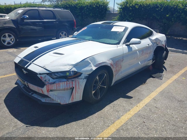 Ford Mustang Ecoboost Fastback 2023 1FA6P8TH4P5101163 Image 2